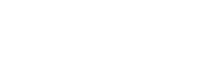 Shin Toyo 有限会社新東洋製作所